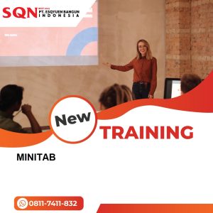 TRAINING MINITAB