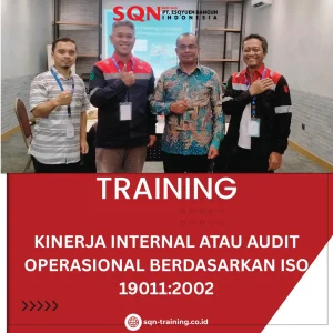 KINERJA INTERNAL ATAU AUDIT OPERASIONAL BERDASARKAN ISO 19011:2002