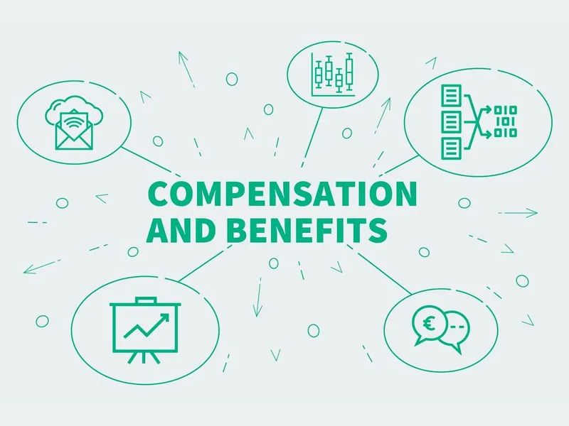 TRAINING COMPENSATION & BENEFIT FOR BEGINNER